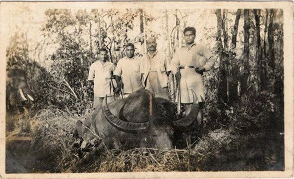 Jayakar Alva