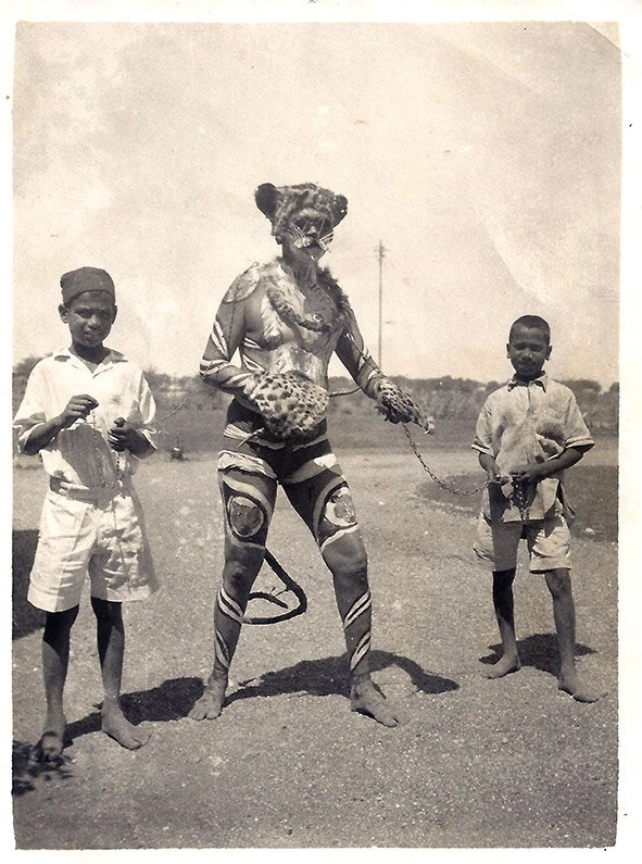 Tiger man Low