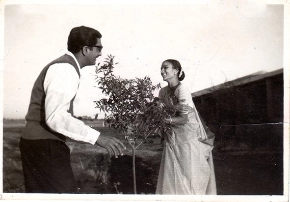 Umedrai hansa low