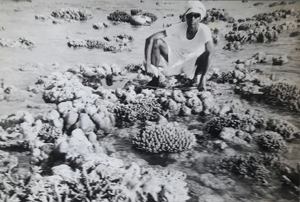 Corals in Andaman Islands Dr. Reddiah Kosaraju